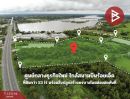 ขายที่ดิน - ที่ดินพร้อมสิ่งปลูกสร้าง เนื้อที่ 53 ไร่ 260.1 ตารางวา อ.ธวัชบุรี จ.ร้อยเอ็ด