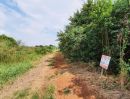 ขายที่ดิน - ขายที่ดิน ถนนฤชุพันธ์(บางบัวทอง-สุพรรณบุรี) ตำบลไทรใหญ่ อำเภอไทรน้อย นนทบุรี