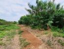 ขายที่ดิน - ขายที่ดิน ถนนฤชุพันธ์(บางบัวทอง-สุพรรณบุรี) ตำบลไทรใหญ่ อำเภอไทรน้อย นนทบุรี