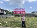 ขายที่ดิน - ขายที่ดินเปล่า แปลงใหญ่ 117 ตรว. อยู่หลังเดอะมอลล์งามวงศ์วาน
