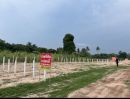 ขายที่ดิน - ขายที่ดินข้างราชภัฎสกลนคร บ้านดงพัฒนา ปรับถมเรียบร้อย พร้อมสร้างบ้าน