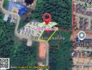 ขายที่ดิน - ขายที่ดินแปลงสวย ทำเลดี บางใบไม้ สุราษฎร์ธานี เลยซุปเปอร์ชีป เข้าทาง ครัวลุงมูล