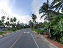 ขายที่ดิน - ขายที่ดินใกล้ทะเลเพียง 100 เมตร จังหวัดชุมพร