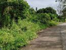 ขายที่ดิน - ขายที่ดินตำบลแม่สาแม่ริมติดถนนคอนกรีตพร้อมโอน