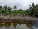 ขายที่ดิน - ขายที่ดินเปล่า 4 ไร่ 27 ตร.วา ติดคลอง บรรยากาศดี เหมาะสร้างบ้านสวน ทำเกษตร ต.บางไผ่ อ.เมือง จ.ฉะเชิงเทรา