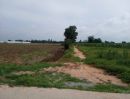 ขายที่ดิน - ที่ดินทำเลดี 12 ไร่ อำเภอหนองหญ้าไซ สุพรรณบุรี