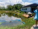 ขายที่ดิน - ขายที่ดินพร้อมฟาร์มปลา (ปลาพลวงชมพู/ปลาเวียน มีที่เดียวในโลก) สิ่งปลูกสร้าง ตำบลหนองหนาม เมืองลำพูน