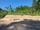 ขายที่ดิน - ขายที่ดินติดลำธานน้ำสะเมิงหายากโฉนดพร้อมโอน