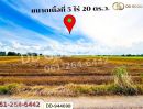 ขายที่ดิน - ที่ดินเกยไชย 5 ไร่ 20 ตร.ว. ชุมแสง นครสวรรค์ ใกล้ที่ว่าการอำเภอชุมแสง