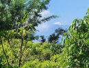 ขายที่ดิน - ขายที่สวนติดลำธารน้ำเชียงดาววิวดอยโฉนดพร้อมโอน