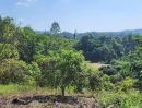 ขายที่ดิน - ขายที่สวนติดลำธารน้ำเชียงดาววิวดอยโฉนดพร้อมโอน