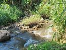 ขายที่ดิน - ขายที่สวนติดลำธารน้ำเชียงดาววิวดอยโฉนดพร้อมโอน