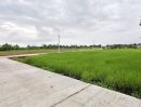ขายที่ดิน - ขายที่ดินหัวหว้า 1 ไร่ ติดถนนคอนกรีต2ด้าน หลังโรงงานยูโรเปี้ยนใกล้ถนน3078-2กม. อ.ศรีมหาโพธิ ปราจีนบุรี