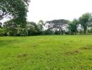 ขายที่ดิน - ขายที่ดินตำบลน้ำแพร่หางดงถมดินเรียบร้อยพร้อมโอน