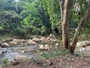 ขายที่ดิน - ขายที่ดินตำบลป่าเมี่ยงดอยสะเก็ตติดลำธารน้ำโฉนดพร้อมโอน