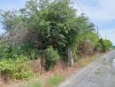 ขายที่ดิน - ขายที่ดินไทรน้อย นนทบุรี 100 ตร.ว.เข้าซอยเพียง 500 เมตร