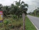 ขายที่ดิน - ขายที่ดินสวนมะพร้าว 19 ไร่ ติดคลองและถนนดำ บ้านแพ้ว ซอยทุ่งเศรษฐี สมุทรสาคร