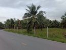 ขายที่ดิน - ขายที่ดินสวนมะพร้าว 19 ไร่ ติดคลองและถนนดำ บ้านแพ้ว ซอยทุ่งเศรษฐี สมุทรสาคร