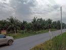 ขายที่ดิน - ขายที่ดินสวนมะพร้าว 19 ไร่ ติดคลองและถนนดำ บ้านแพ้ว ซอยทุ่งเศรษฐี สมุทรสาคร