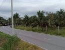 ขายที่ดิน - ขายที่ดินสวนมะพร้าว 19 ไร่ ติดคลองและถนนดำ บ้านแพ้ว ซอยทุ่งเศรษฐี สมุทรสาคร
