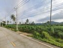 ขายที่ดิน - ขายที่ดิน 52ไร่ EEC ใกล้ WHA2 ม่วงลาย สร้างโรงงานได้ สนใจโทรด่วน
