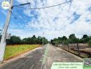 ขายที่ดิน - ที่ดินแปลงนี้ ราคาพิเศษ สำหรับสร้างบ้าน ลงทุนแบ่งแปลง คุ้มๆ