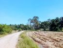 ขายที่ดิน - ที่นาราคาถูก 330,000 อยู่อาศัยได้ อ.ชำนิ บุรีรัมย์