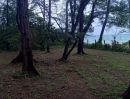 ขายที่ดิน - ขายที่ดินแปลงสวย ติดทะเล หาดไม้ขาว ภูเก็ต 28 ไร่