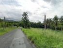 ขายที่ดิน - ขายที่ดินหนองขาม บ้านโค้งดาราเนื้อที่ 7 ไร่ ใกล้นิคมปิ่นทอง15กม. อ.ศรีราชา ชลบุรี