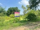 ขายที่ดิน - ขายที่ดิน 120 ตารางวา คูบางหลวง ลาดหลุมแก้ว ปทุมธานี ZT846