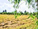 ขายที่ดิน - ที่นาแปลงสวย ไร่ละเพียง 95,000 บาท อ.กระสัง บุรีรัมย์