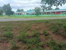 ขายที่ดิน - ขายที่ดิน 9-2-13 ไร่ ติดถนน ทำบ้านจัดสรรได้ ติดเทศบาล ตำบลเนินขาม อ.เนินขาม จ.ชัยนาท ขายถูกสุดในย่านนี้