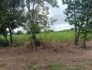 ขายที่ดิน - ขายที่ดิน 9-2-13 ไร่ ติดถนน ทำบ้านจัดสรรได้ ติดเทศบาล ตำบลเนินขาม อ.เนินขาม จ.ชัยนาท ขายถูกสุดในย่านนี้