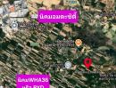 ขายที่ดิน - ขายที่ดินติดถนนลาดยาง ซอย 8 อ.นิคมพัฒนา จ.ระยอง เนื้อที่ 23ไร่ 3 งาน 75ตารางวา