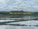 ขายที่ดิน - ขายที่นาปลูกข้าว อ.ดอยสะเก็ด 7 ไร่ 108.9 ตรว.