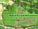 ขายที่ดิน - ขายที่ดินเปล่า อ.โนนไทย จ.นครราชสีมา 21 ไร่ 2 งาน 89.6 ตร.ว. ติดถนน น้ำไฟเข้าถึง ใกล้มอเตอร์เวย์ ราคาไร่ละ 350,000 บาท