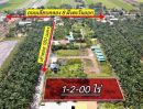 ขายที่ดิน - ที่ดินสวยทำเลดี คลอง 8 หนองเสือ ปทุมธานี 1ไร่
