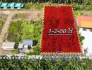 ขายที่ดิน - ที่ดินสวยทำเลดี คลอง 8 หนองเสือ ปทุมธานี 1ไร่