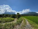 ขายที่ดิน - ขายที่นาวิวดอยหลวงบ้านทุ่งละครเชียงดาวโฉนด