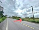 ขายที่ดิน - ขายที่นาติดถนนตำบลเชิงดอยดอยสะเก็ตโฉนดพร้อมโอน