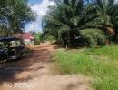 ขายที่ดิน - ขายที่ดินเปล่าติดถนนสร้างตนเอง 2 ใกล้มหาวิทยาลัยราชภัฏสุราษฎร์ธานี พิกัด: ถนนสร้างตนเอง 2 สายตรี ตำบลขุนทะเล