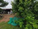 ขายที่ดิน - ขายที่ดิน พร้อมสิ่งปลูกสร้าง ขนาด 250 ตร.วา อ.ประทาย จ.นครราชสีมา