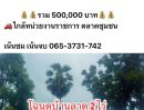 ขายที่ดิน - ที่ดินโฉนดราคาถูก 2 ไร่ 5 แสนบาท อยู่ในเขตชุมชน ติดคลองส่งน้ำ