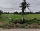 ขายที่ดิน - ขายที่ดิน ทำเลดี ติดถนน ต.เกาะพลับพลา อ.เมือง จ.ราชบุรี