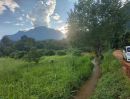 ขายที่ดิน - ขายที่ดินเชียงดาววิวดอยหลวงใกล้น้ำตกโฉนดพร้อมโอน