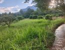ขายที่ดิน - ขายที่ดินเชียงดาววิวดอยหลวงใกล้น้ำตกโฉนดพร้อมโอน