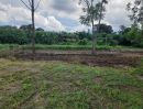 ขายที่ดิน - ขายที่ดินแปลงสวย 2 แปลง เริ่มต้น 300 ตร.ว. พร้อมโฉนด นส.4 โซนขนงพระ - ปากช่อง เขาใหญ่ ใกล้มอเตอร์เวย์ M6