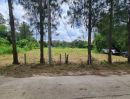 ขายที่ดิน - ขายที่ดินแปลงสวย 2 แปลง เริ่มต้น 300 ตร.ว. พร้อมโฉนด นส.4 โซนขนงพระ - ปากช่อง เขาใหญ่ ใกล้มอเตอร์เวย์ M6