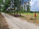 ขายที่ดิน - ขายที่ดินแปลงสวย 2 แปลง เริ่มต้น 300 ตร.ว. พร้อมโฉนด นส.4 โซนขนงพระ - ปากช่อง เขาใหญ่ ใกล้มอเตอร์เวย์ M6