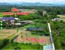 ขายที่ดิน - ขายที่ดินแปลงสวย 2 แปลง เริ่มต้น 300 ตร.ว. พร้อมโฉนด นส.4 โซนขนงพระ - ปากช่อง เขาใหญ่ ใกล้มอเตอร์เวย์ M6